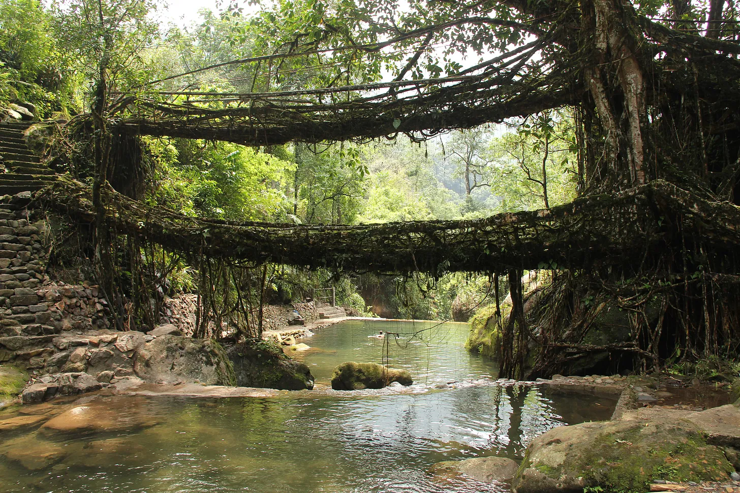 Double living root bridge, Meghalaya, India